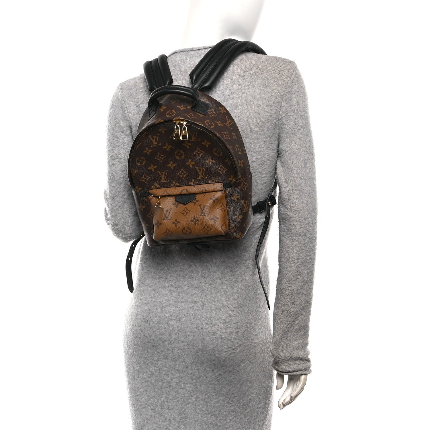Louis Vuitton Reverse Monogram Palm Springs Backpack PM