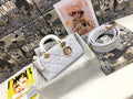 Dior Bags - 4546