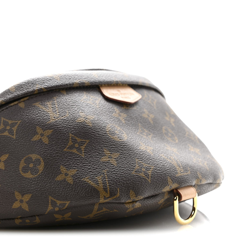 Louis Vuitton Monogram Bumbag