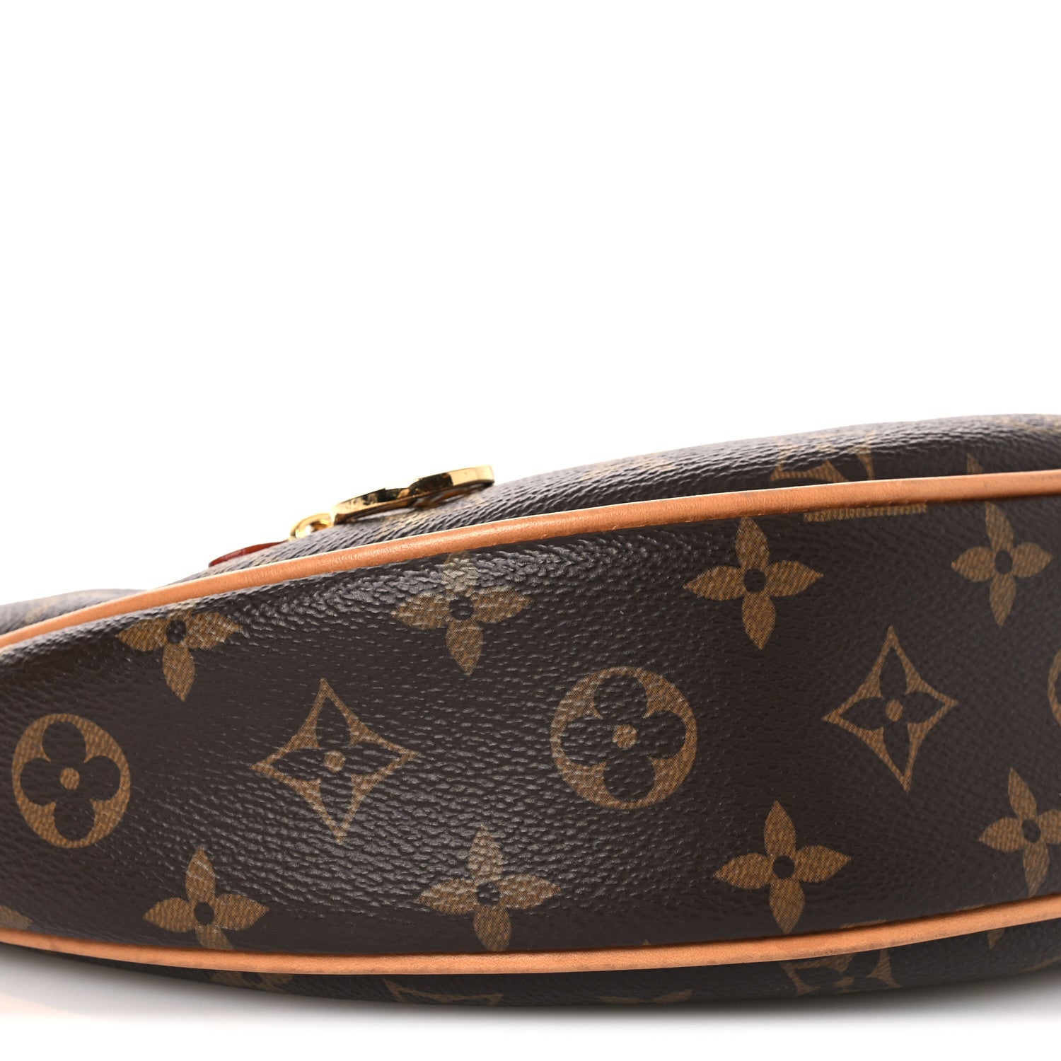 Louis Vuitton Monogram Loop