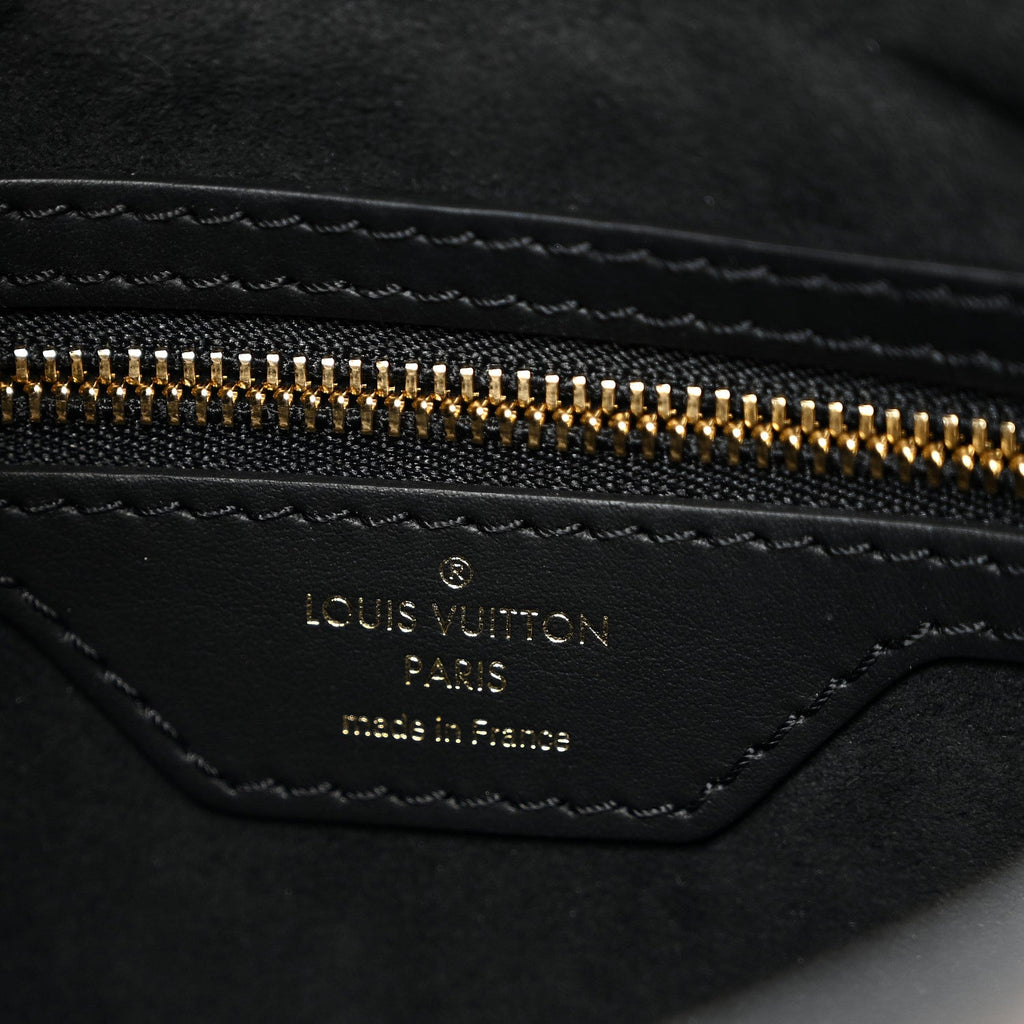 Louis Vuitton Reverse Monogram Twinny