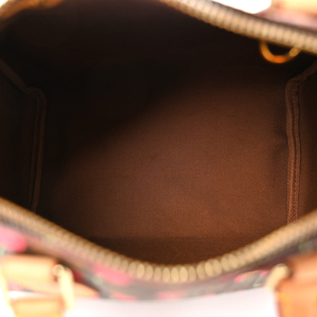 Louis Vuitton Monogram Cerises Speedy 25
