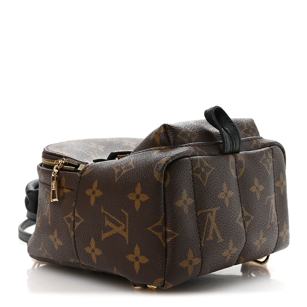 Louis Vuitton Monogram Palm Springs Backpack Mini