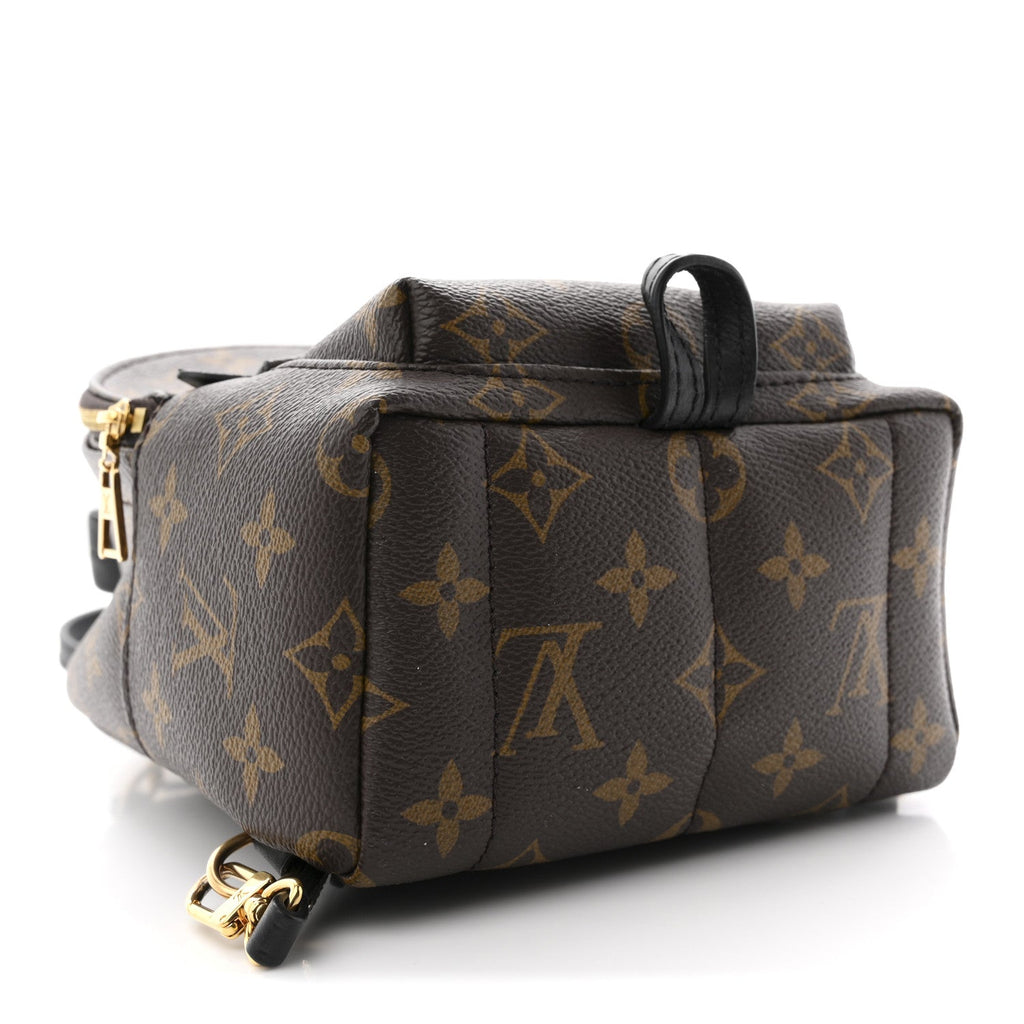 Louis Vuitton Monogram Palm Springs Backpack Mini