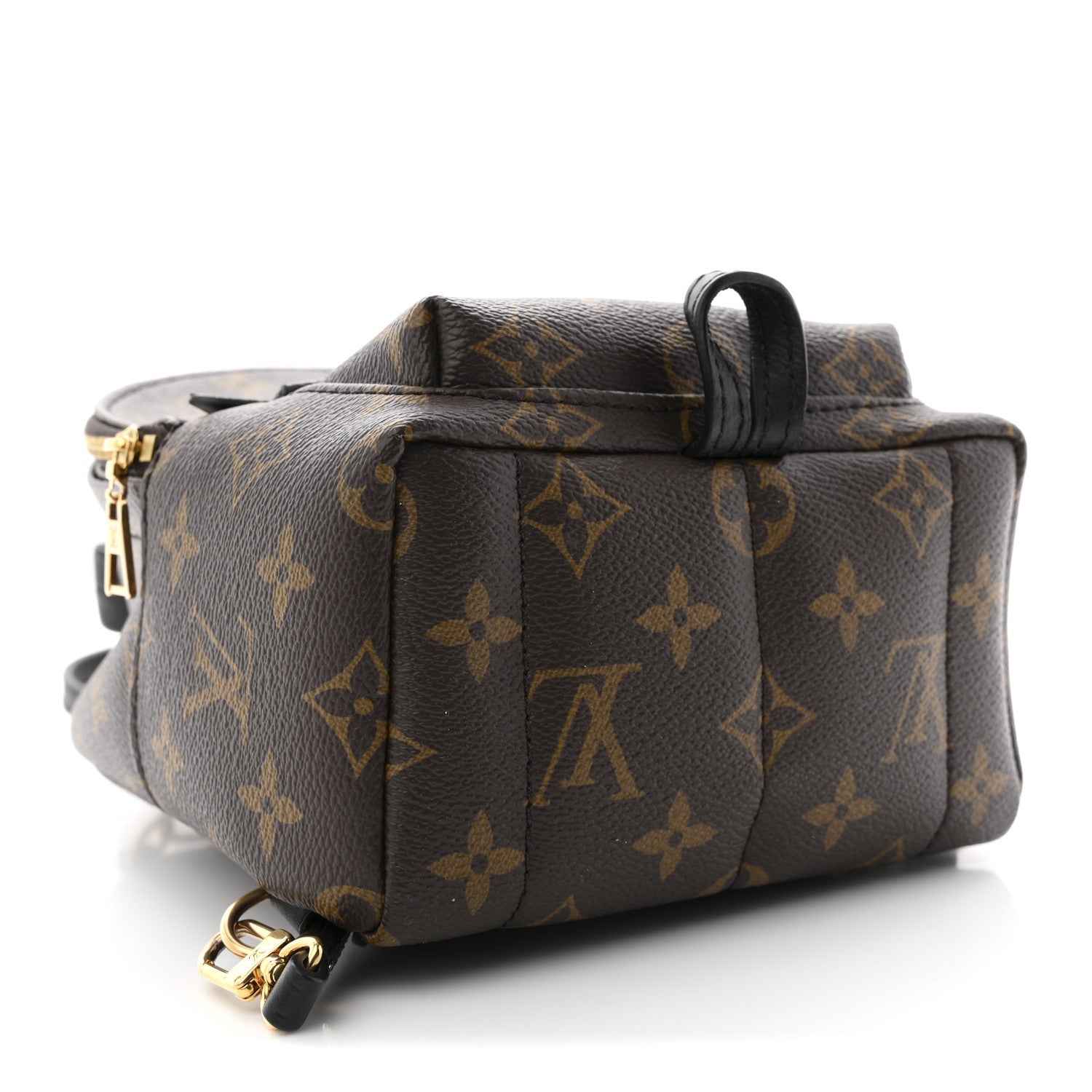 Louis Vuitton Monogram Palm Springs Backpack Mini