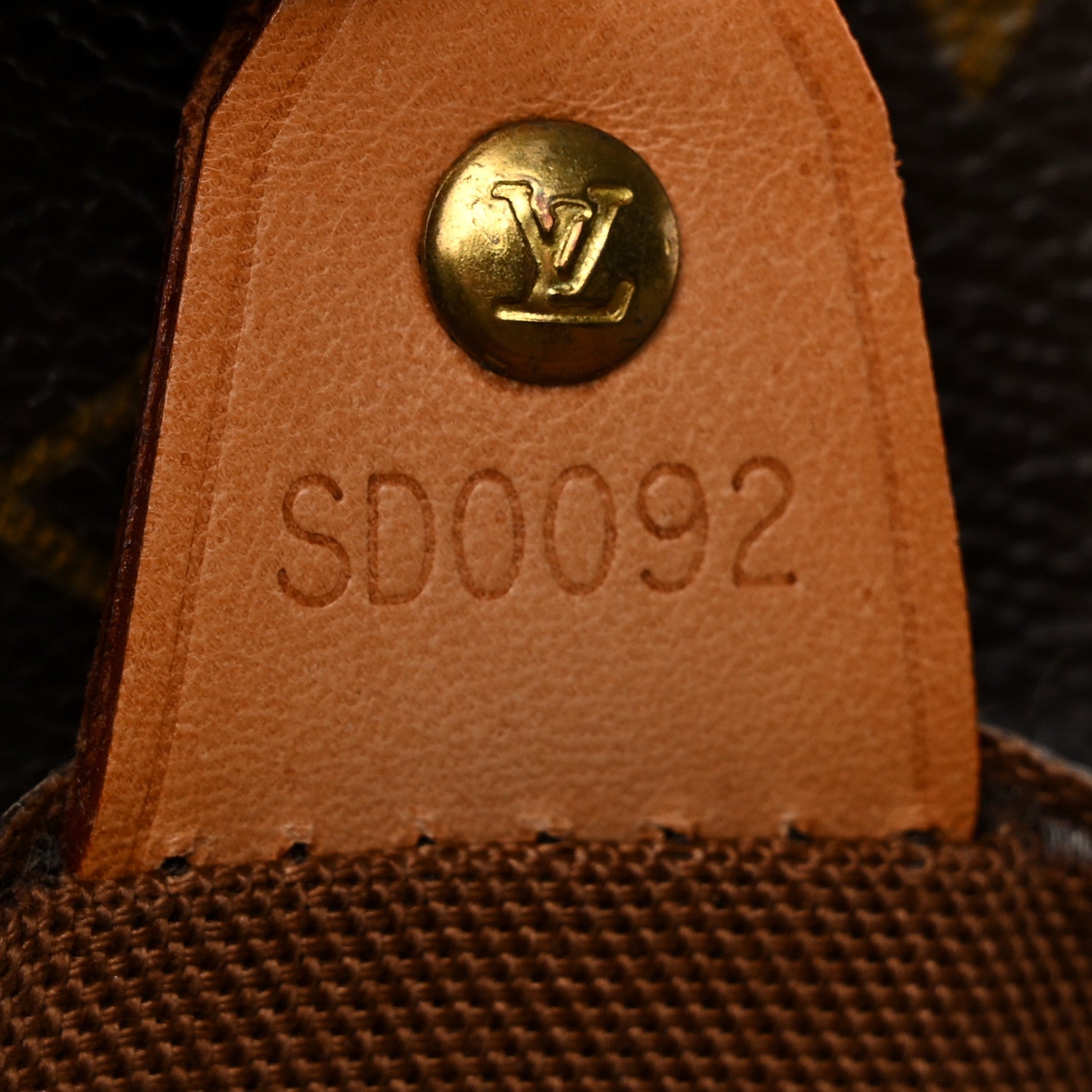 Louis Vuitton Monogram Vavin GM
