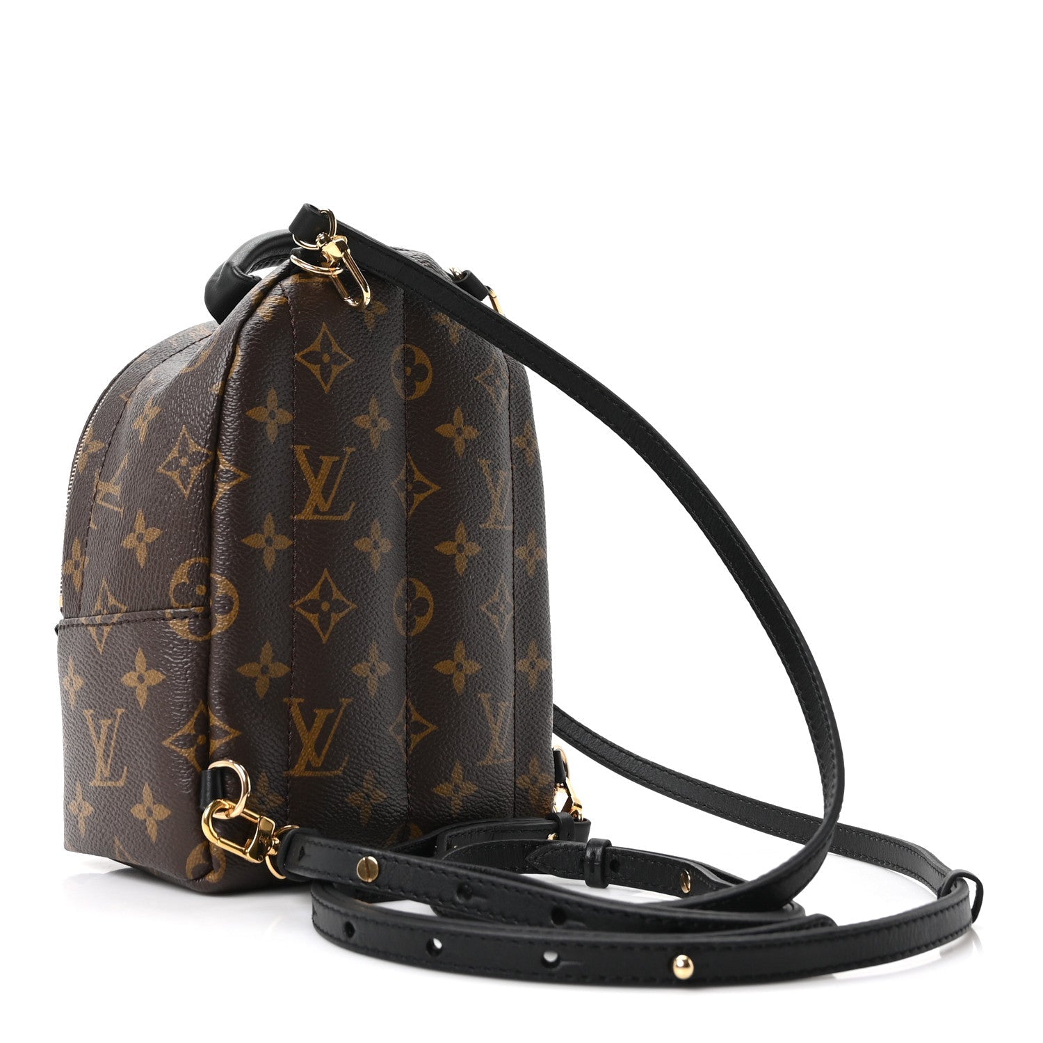 Louis Vuitton Monogram Palm Springs Backpack Mini