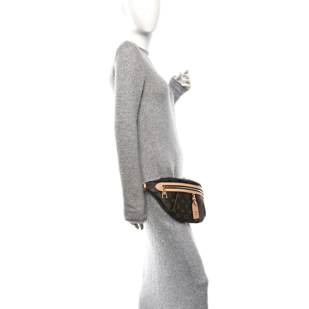 Louis Vuitton Monogram High Rise Bumbag