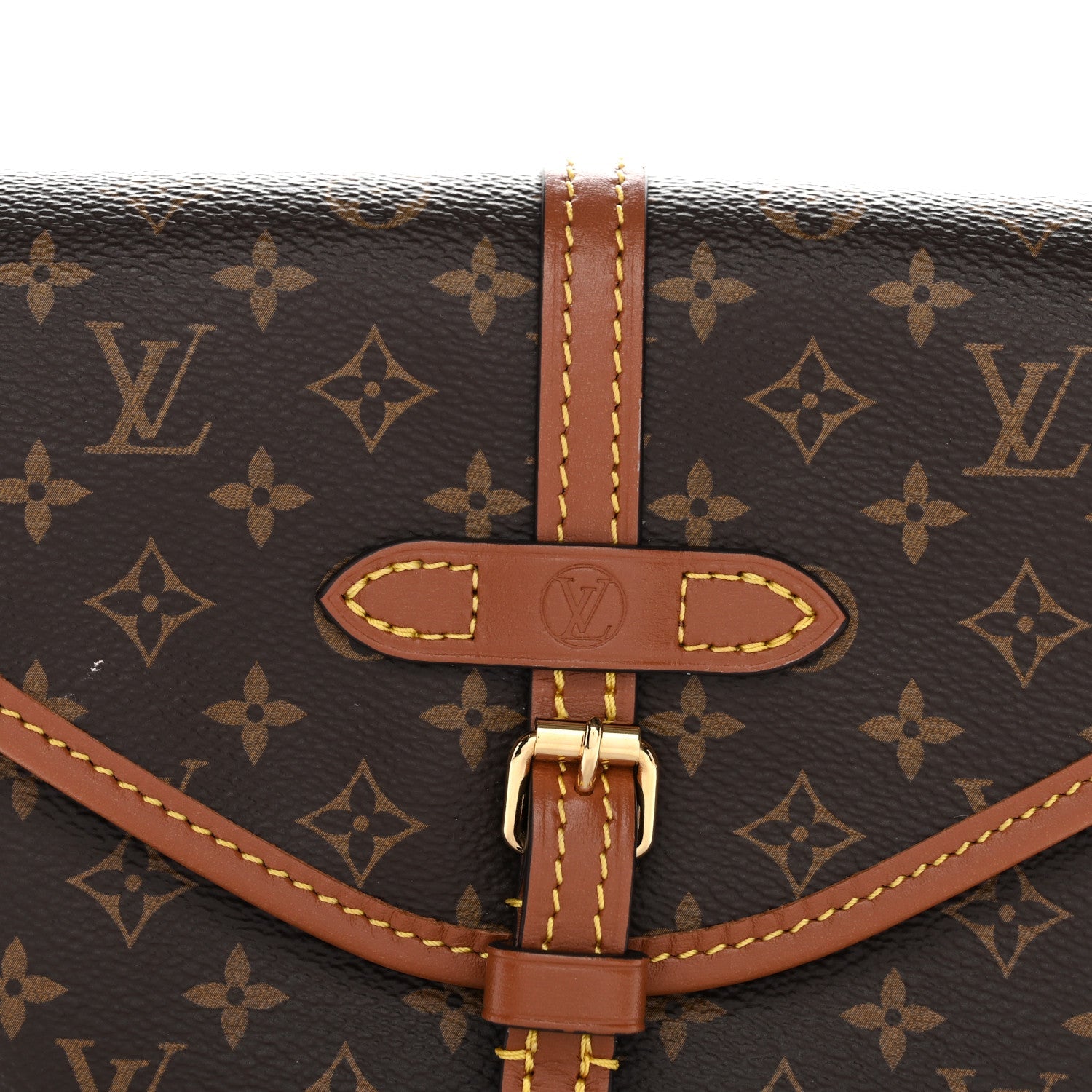 Louis Vuitton Monogram Solo