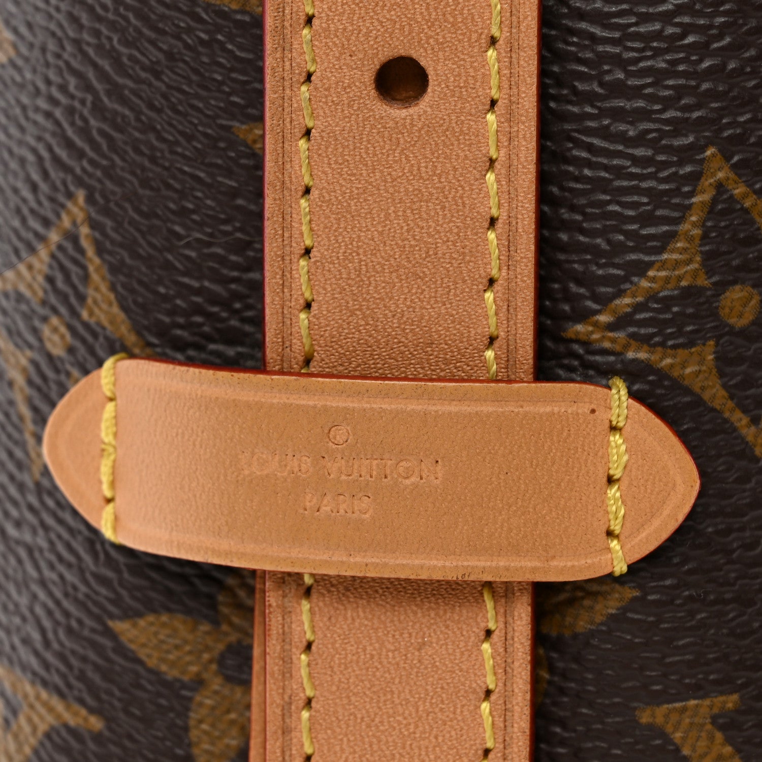 Louis Vuitton Monogram CarryAll PM