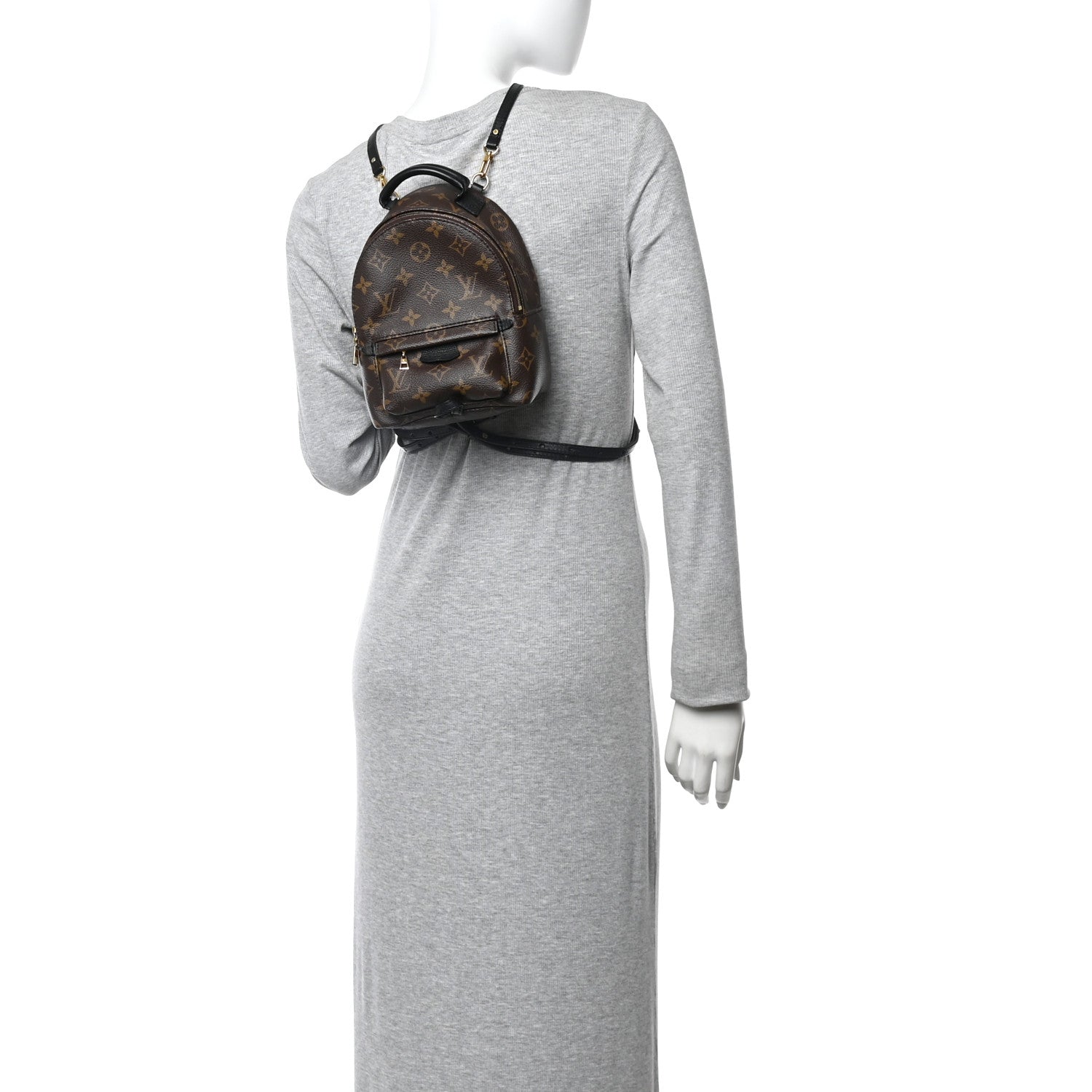 Louis Vuitton Monogram Palm Springs Backpack Mini