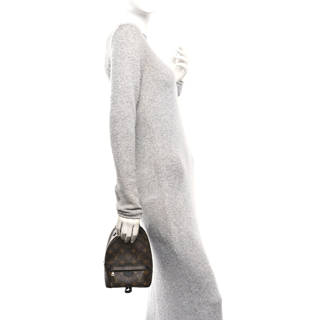 Louis Vuitton Monogram Palm Springs Backpack Mini
