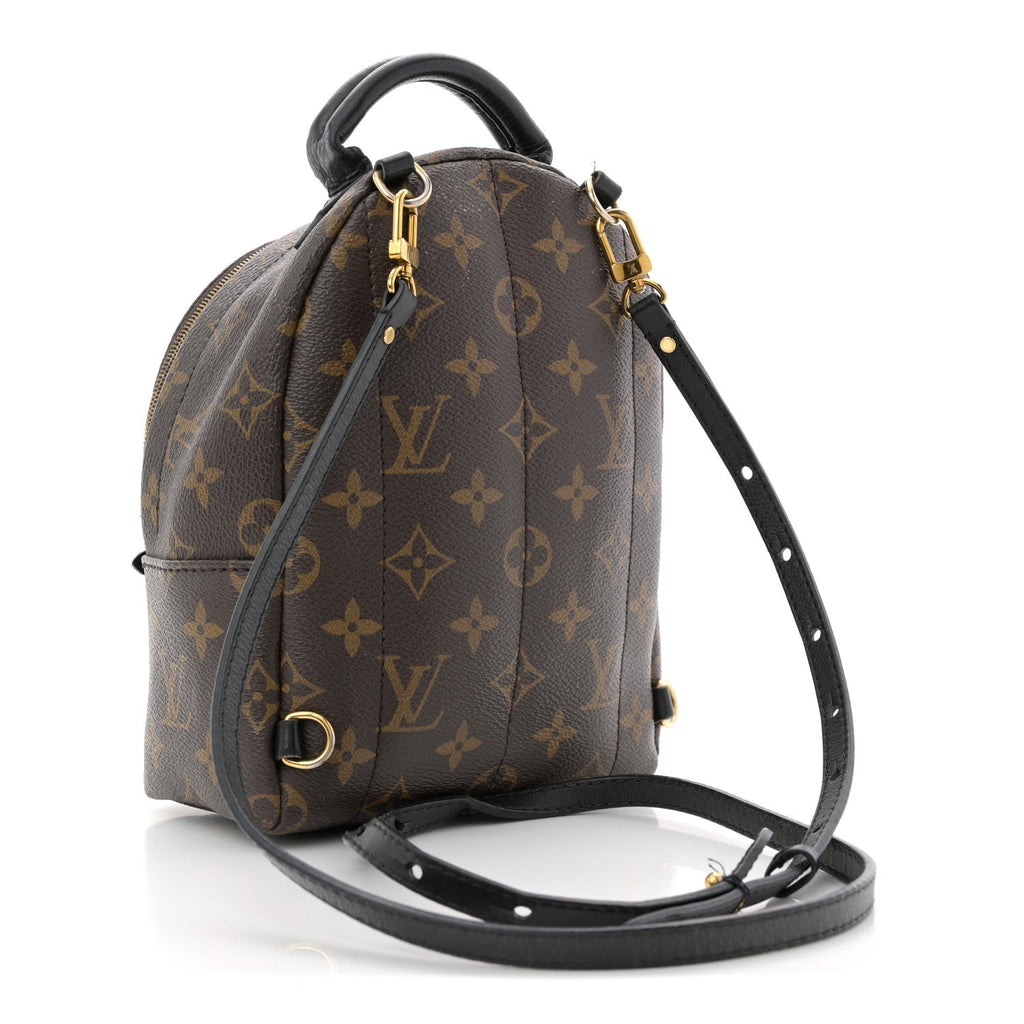 Louis Vuitton Monogram Palm Springs Backpack Mini