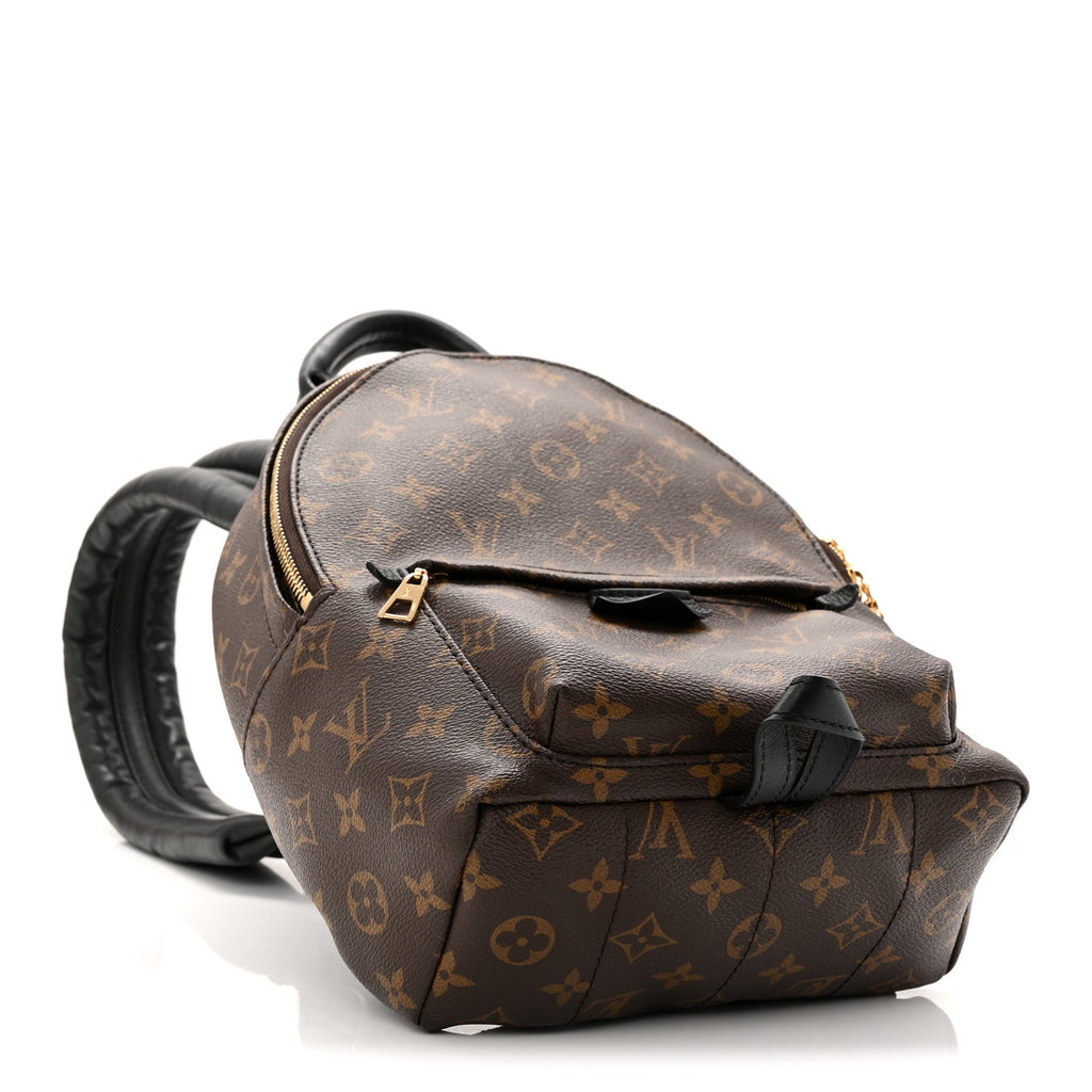 Louis Vuitton Monogram Palm Springs Backpack PM