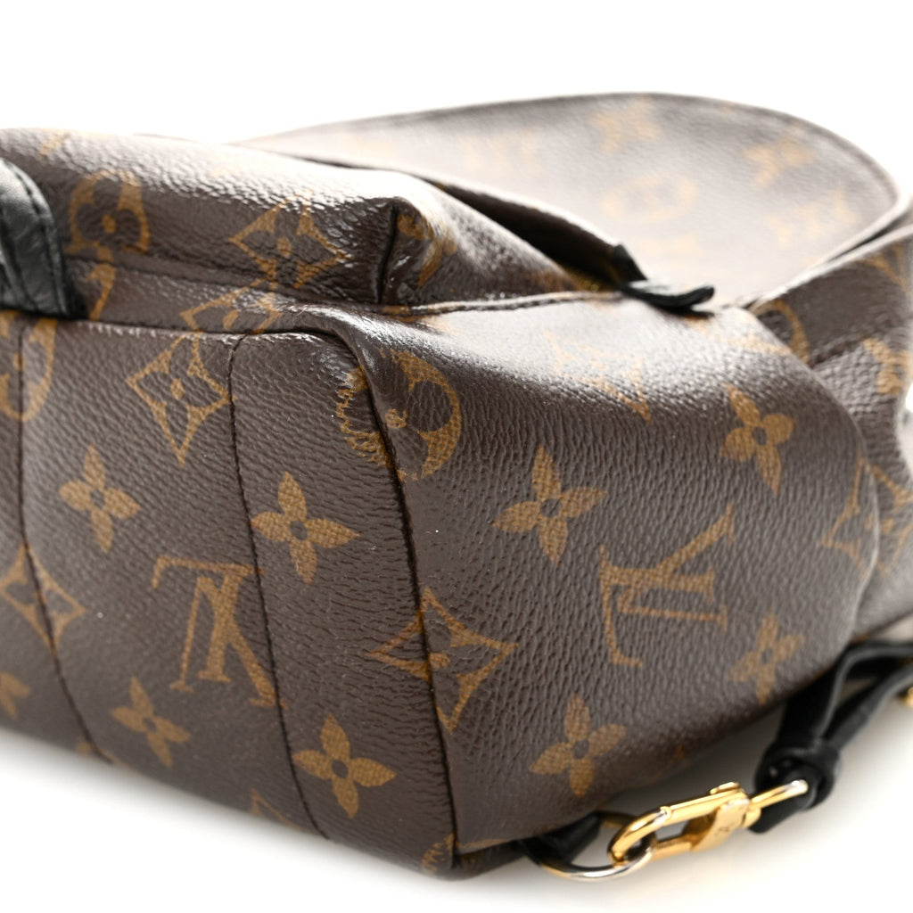 Louis Vuitton Monogram Palm Springs Backpack Mini