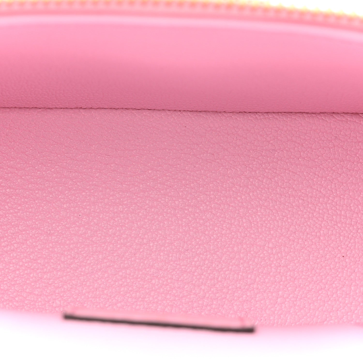 Louis Vuitton Ostrich Vanity Chain Pouch Pink