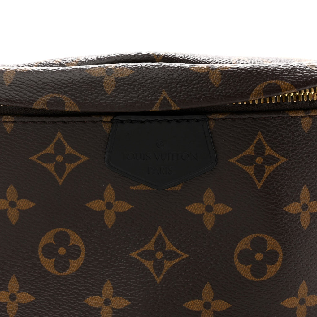 Louis Vuitton Monogram My LV World Tour Bumbag