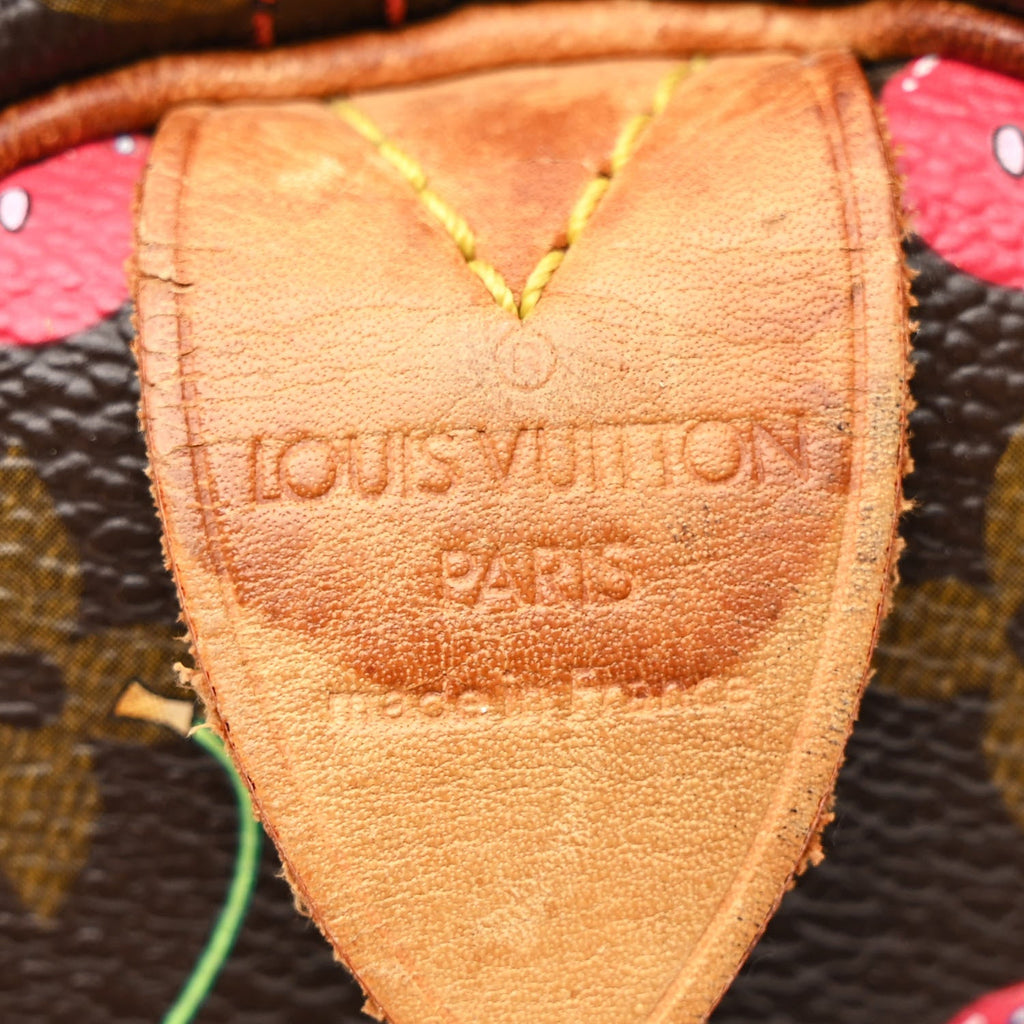 Louis Vuitton Monogram Cerises Speedy 25