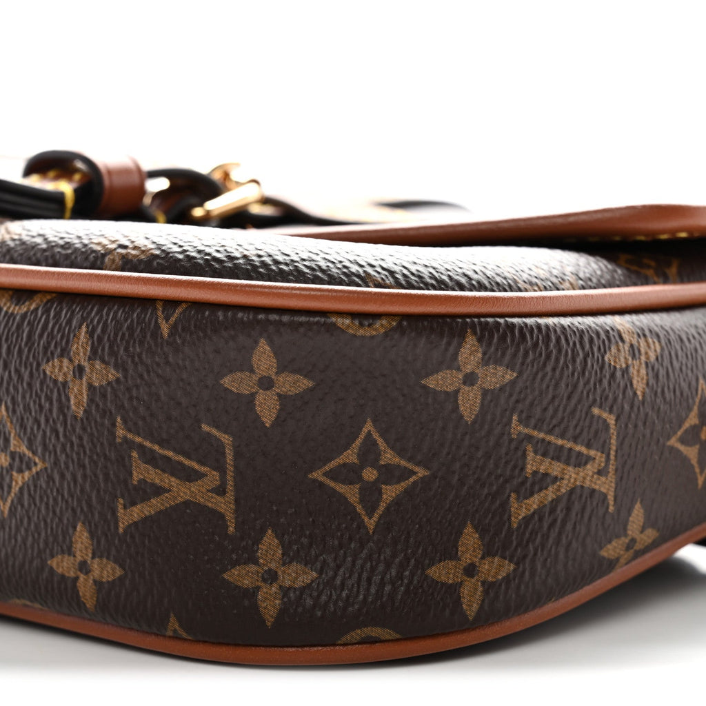 Louis Vuitton Monogram Solo