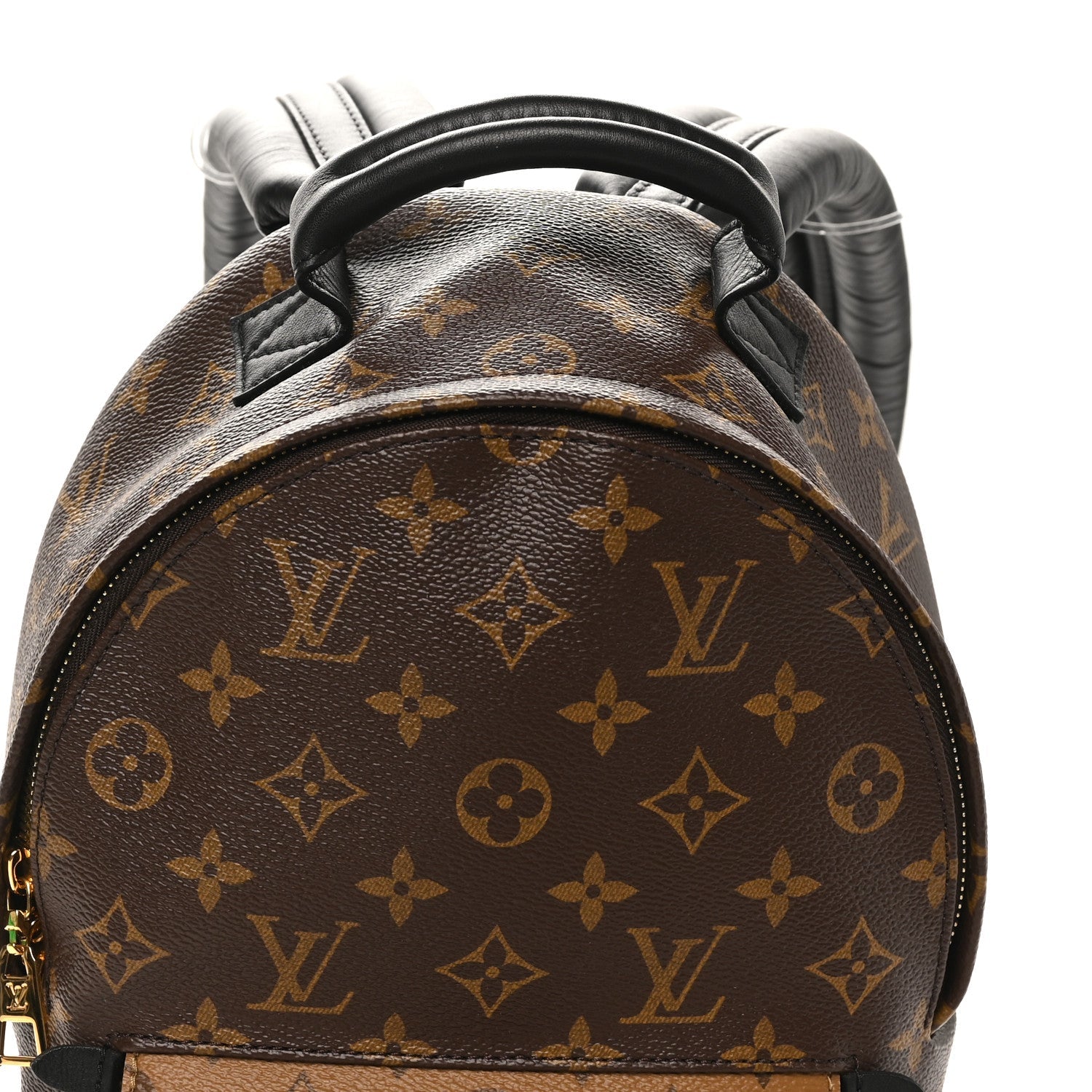 Louis Vuitton Reverse Monogram Palm Springs Backpack PM