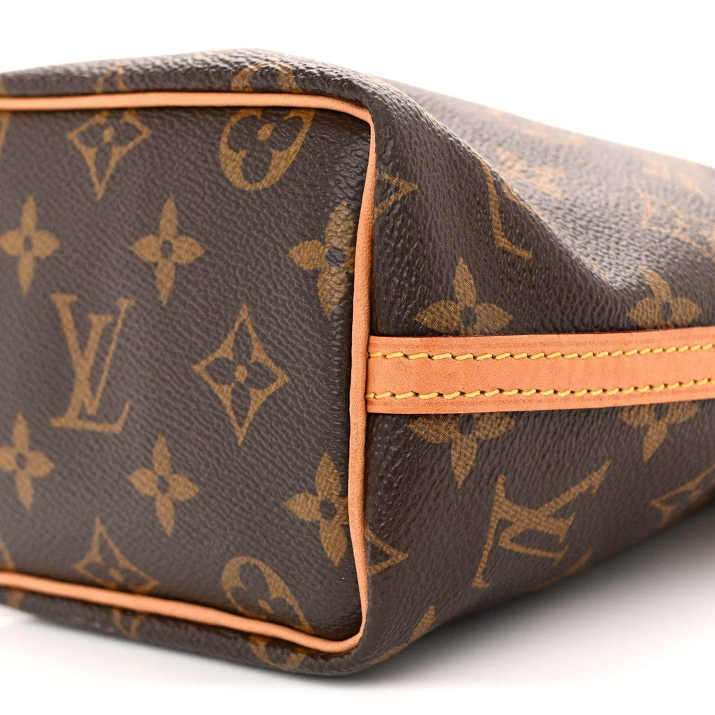 Louis Vuitton Monogram Nano Noe