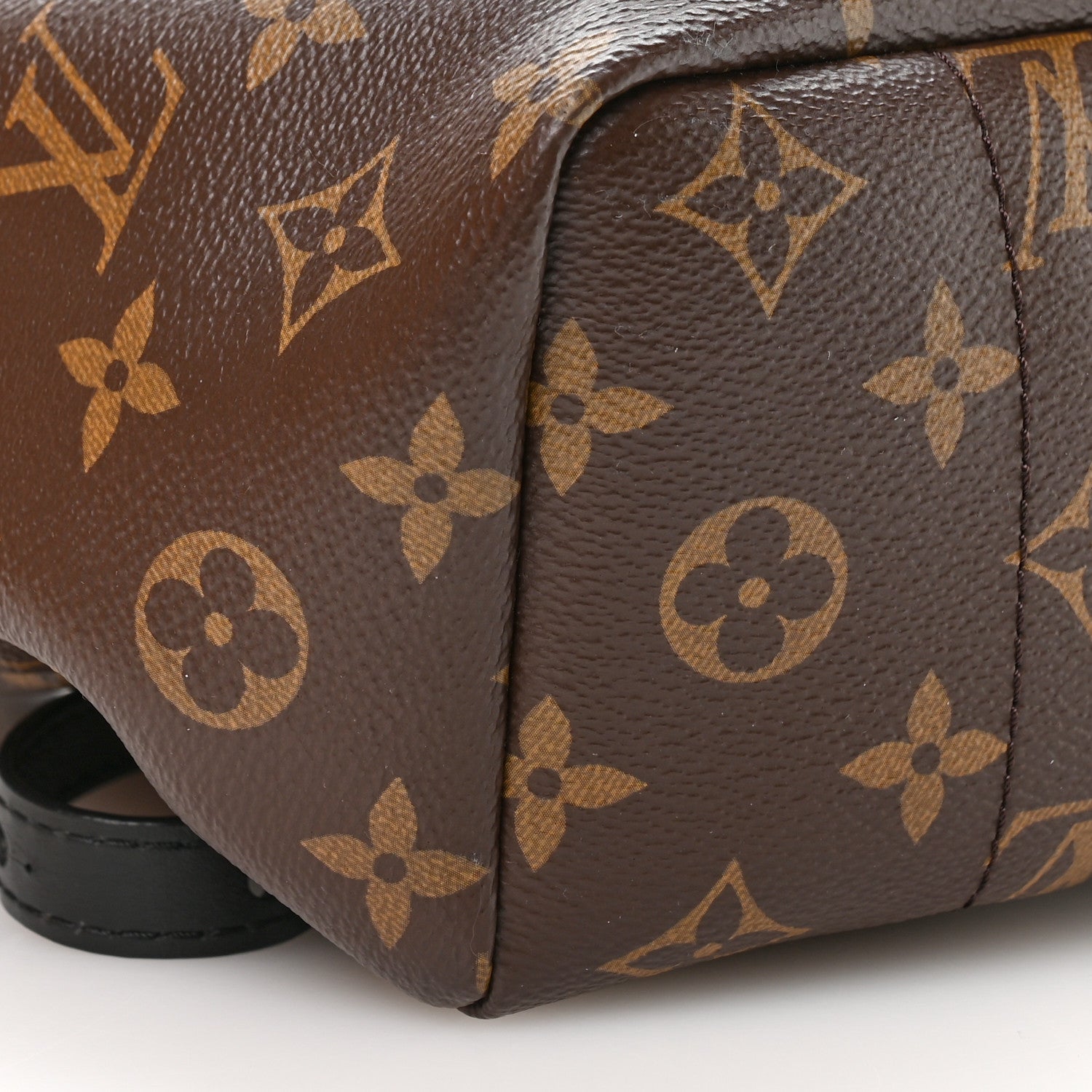 Louis Vuitton Monogram Palm Springs Backpack PM
