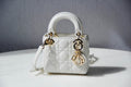 Dior Bags - 4392