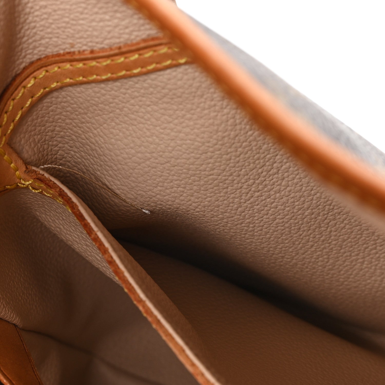 Louis Vuitton Monogram Petit Bucket 23