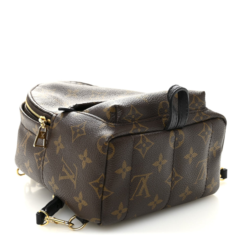 Louis Vuitton Monogram Palm Springs Backpack Mini