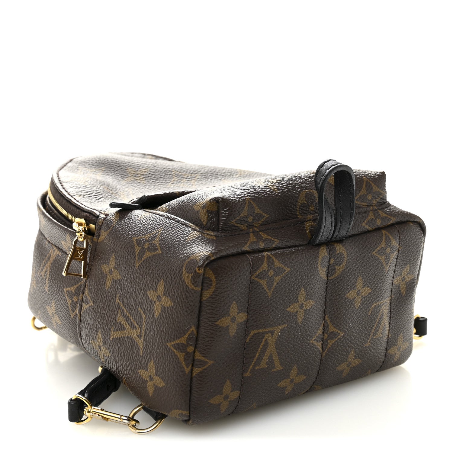 Louis Vuitton Monogram Palm Springs Backpack Mini