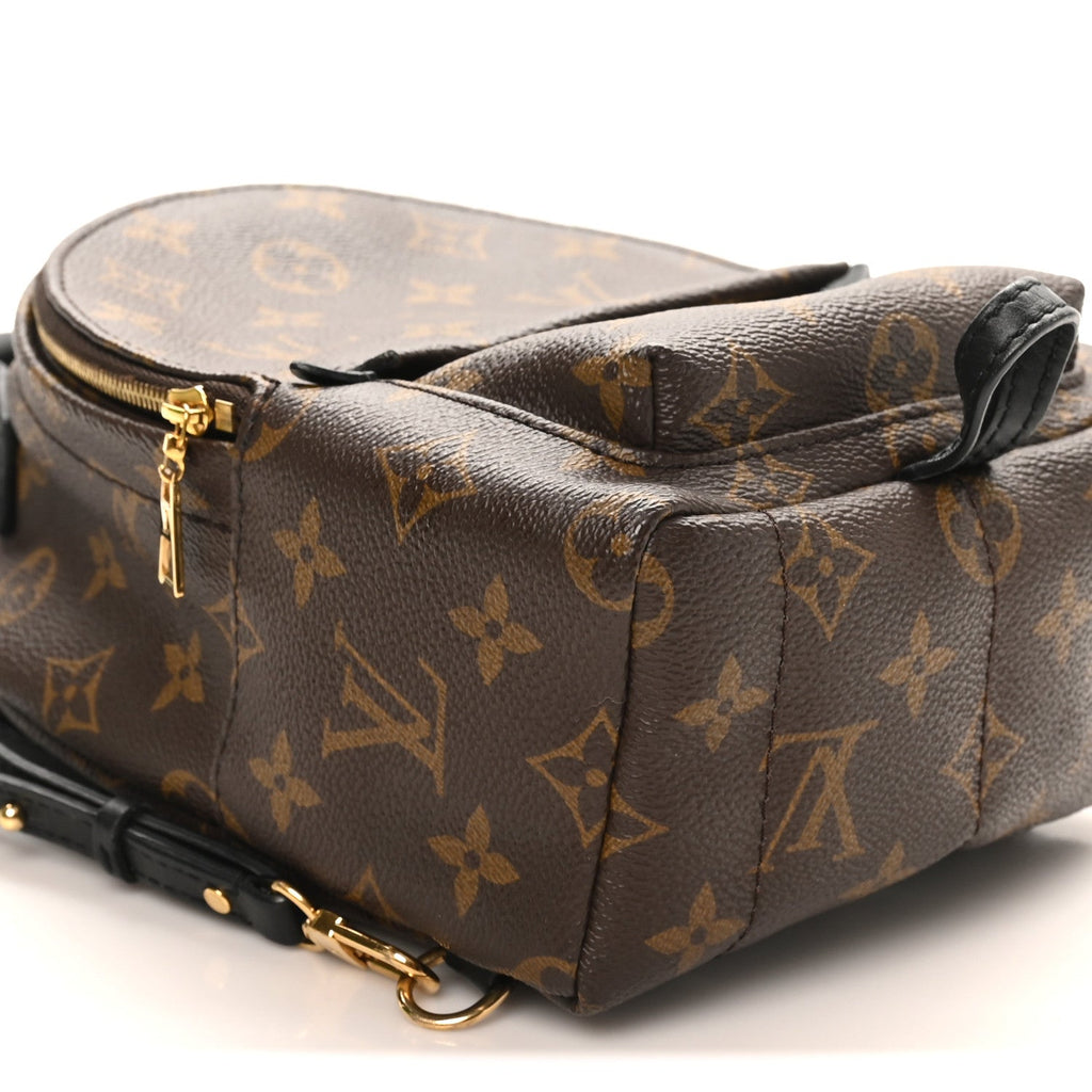 Louis Vuitton Monogram Palm Springs Backpack Mini