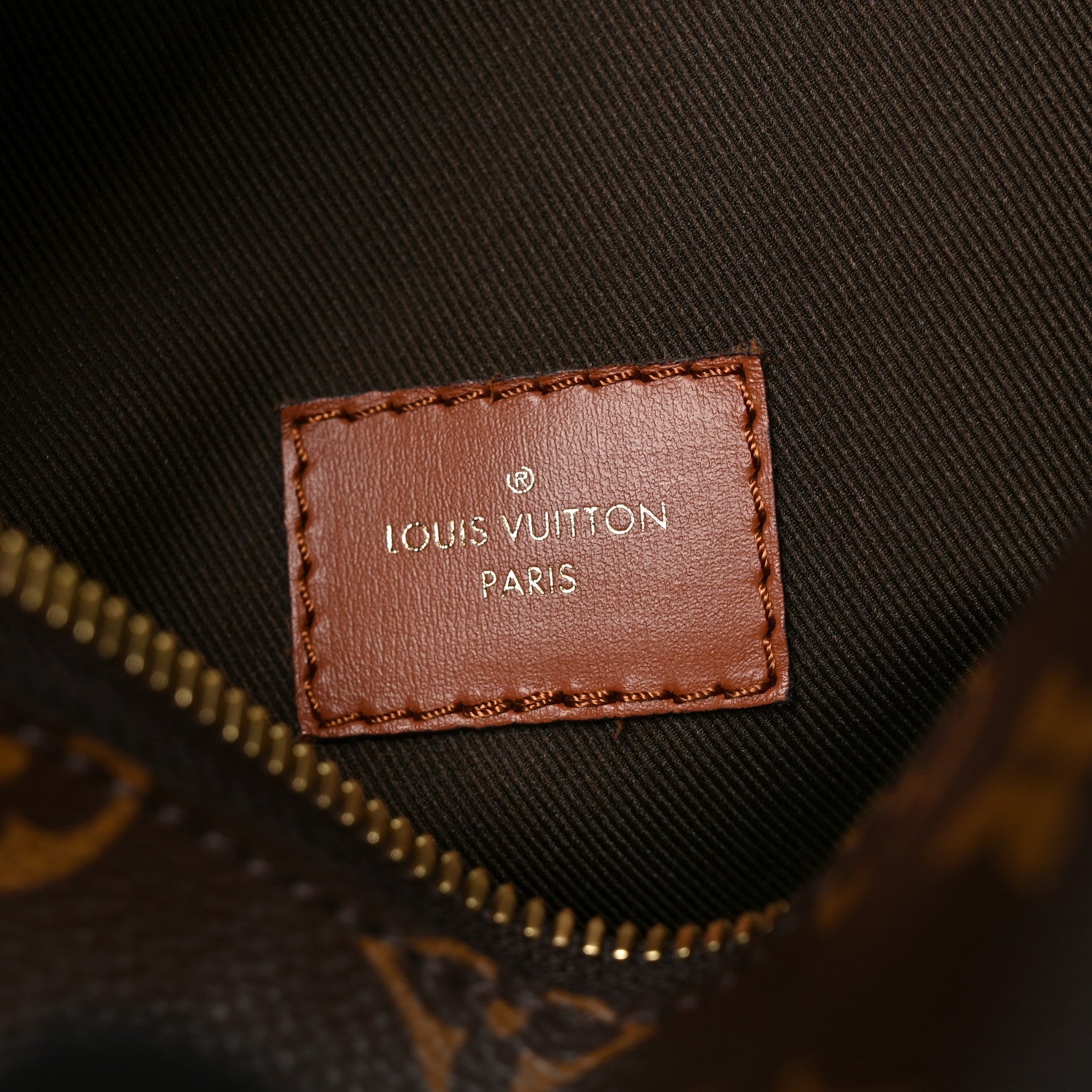 Louis Vuitton Reverse Monogram Loop Hobo