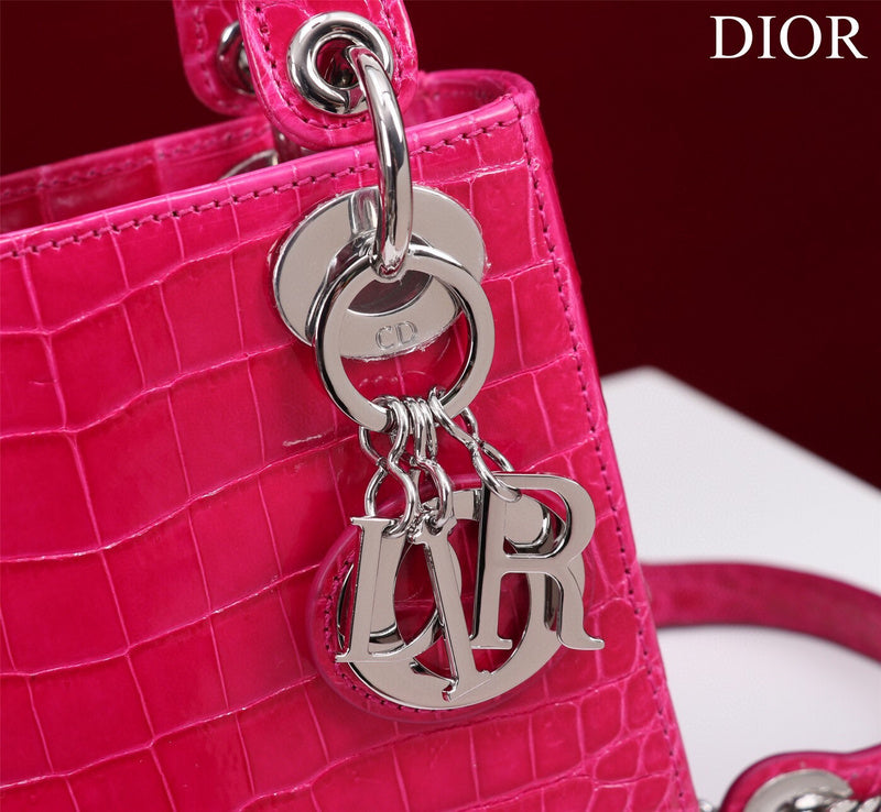 Dior Bag
