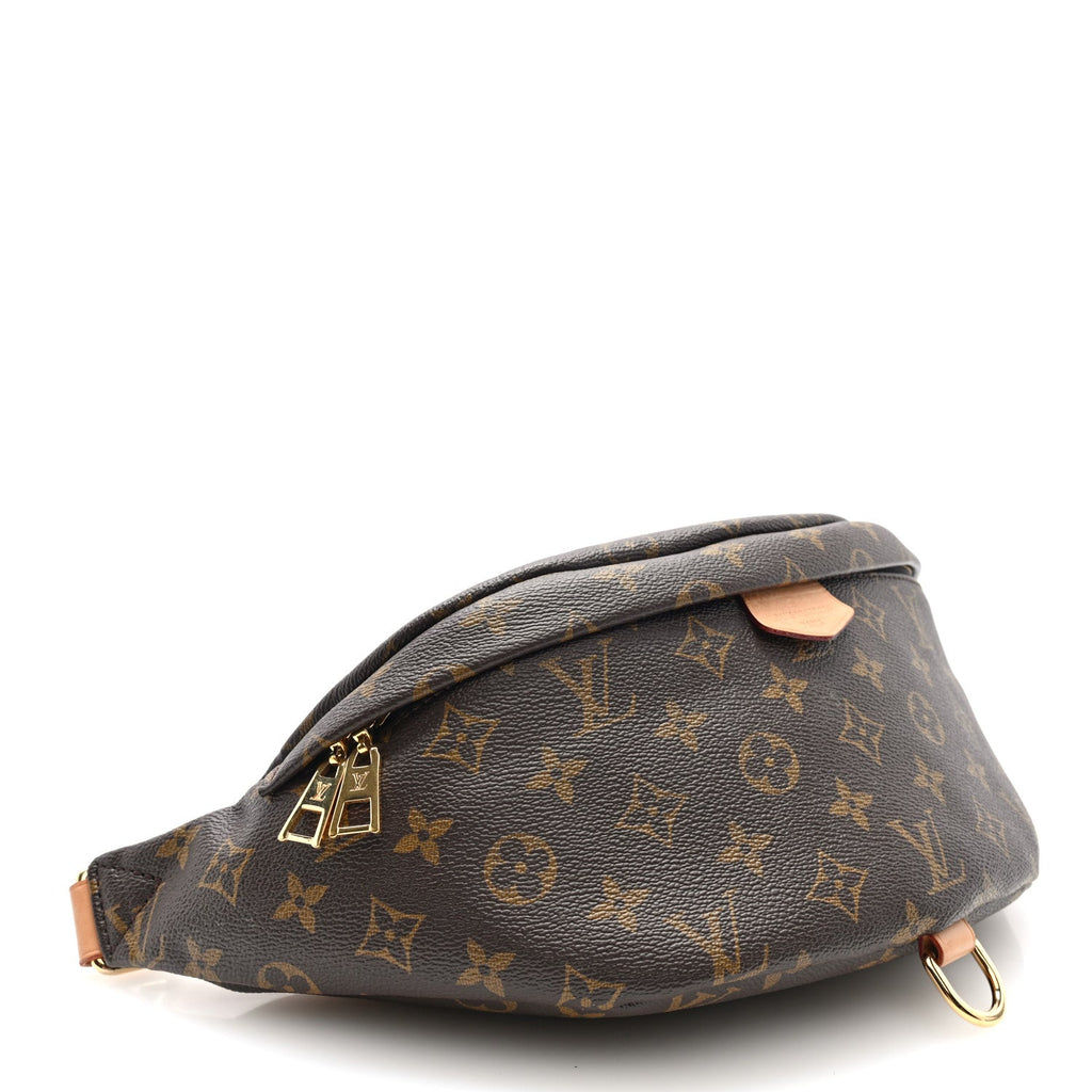 Louis Vuitton Monogram Bumbag