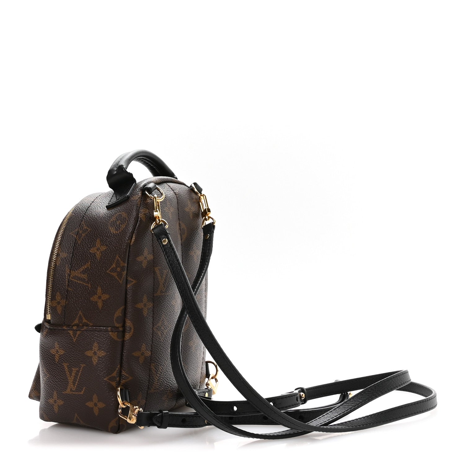 Louis Vuitton Monogram Palm Springs Backpack Mini