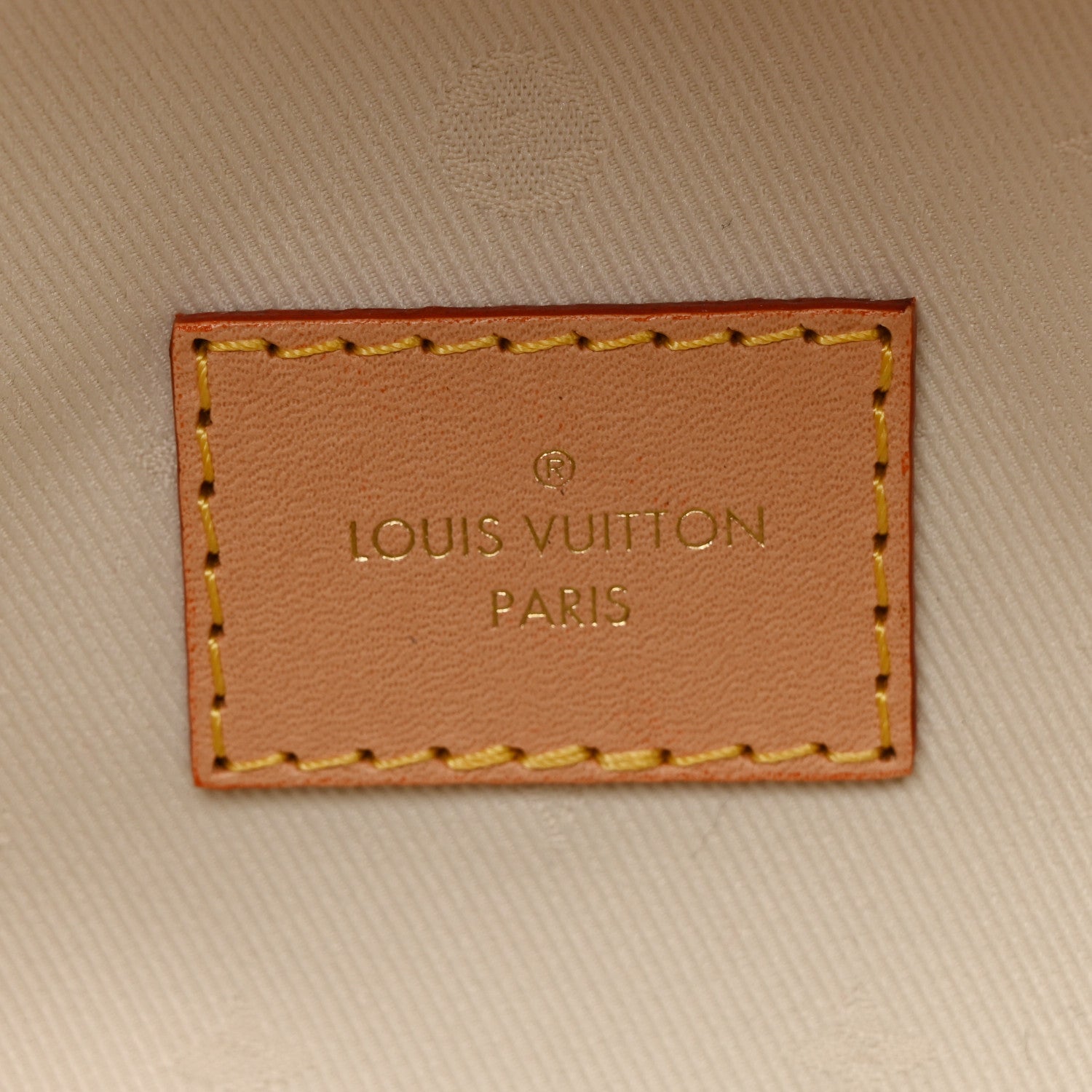 Louis Vuitton Monogram High Rise Bumbag