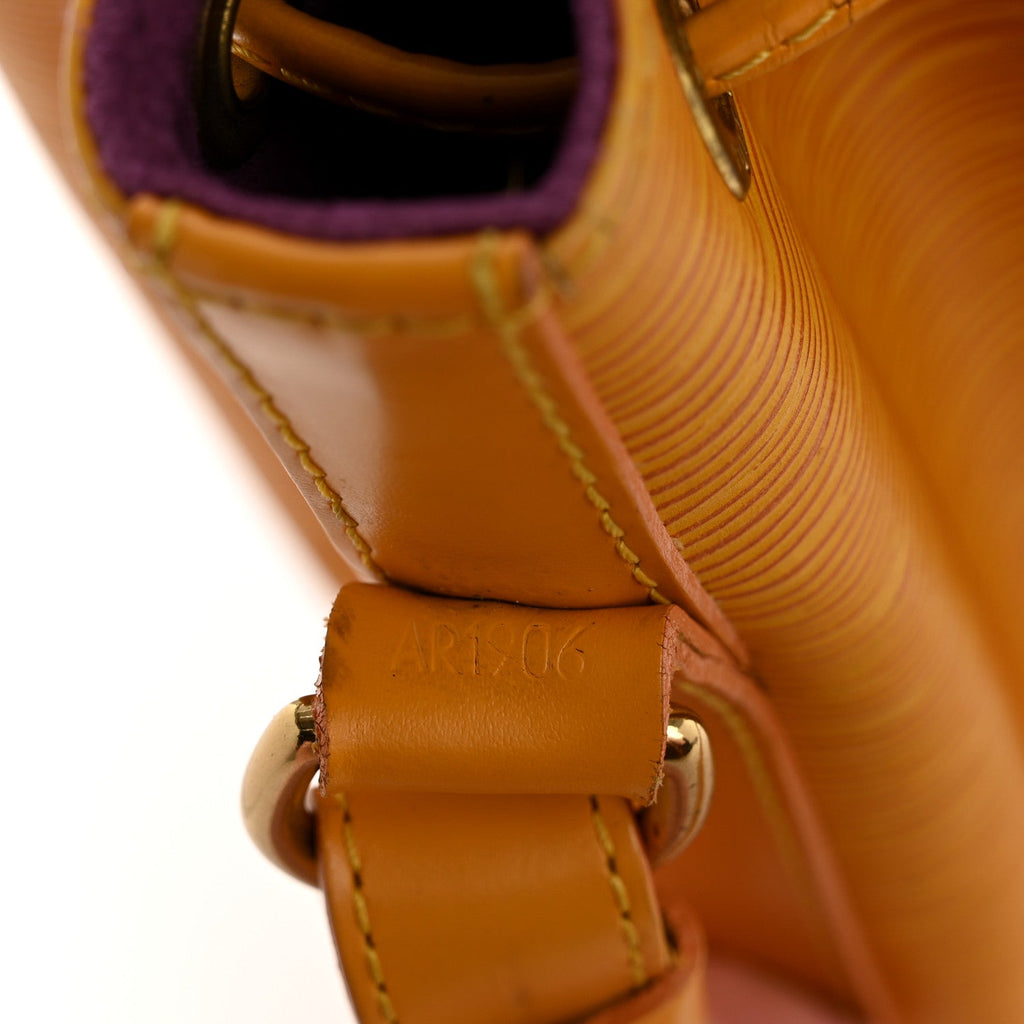 Louis Vuitton Epi Noe Tassil