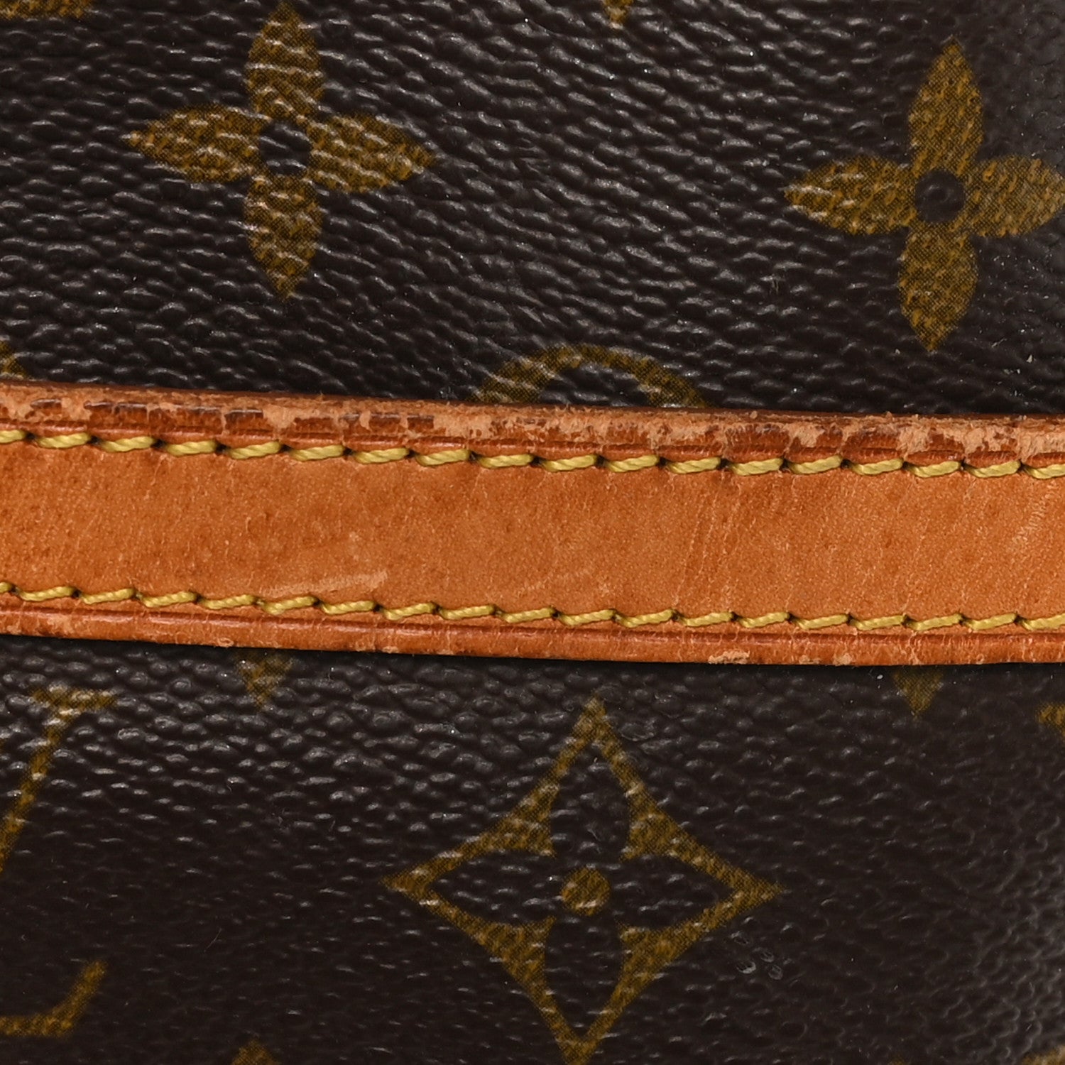 Louis Vuitton Monogram Danube 21