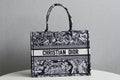 Dior Bags - 5763