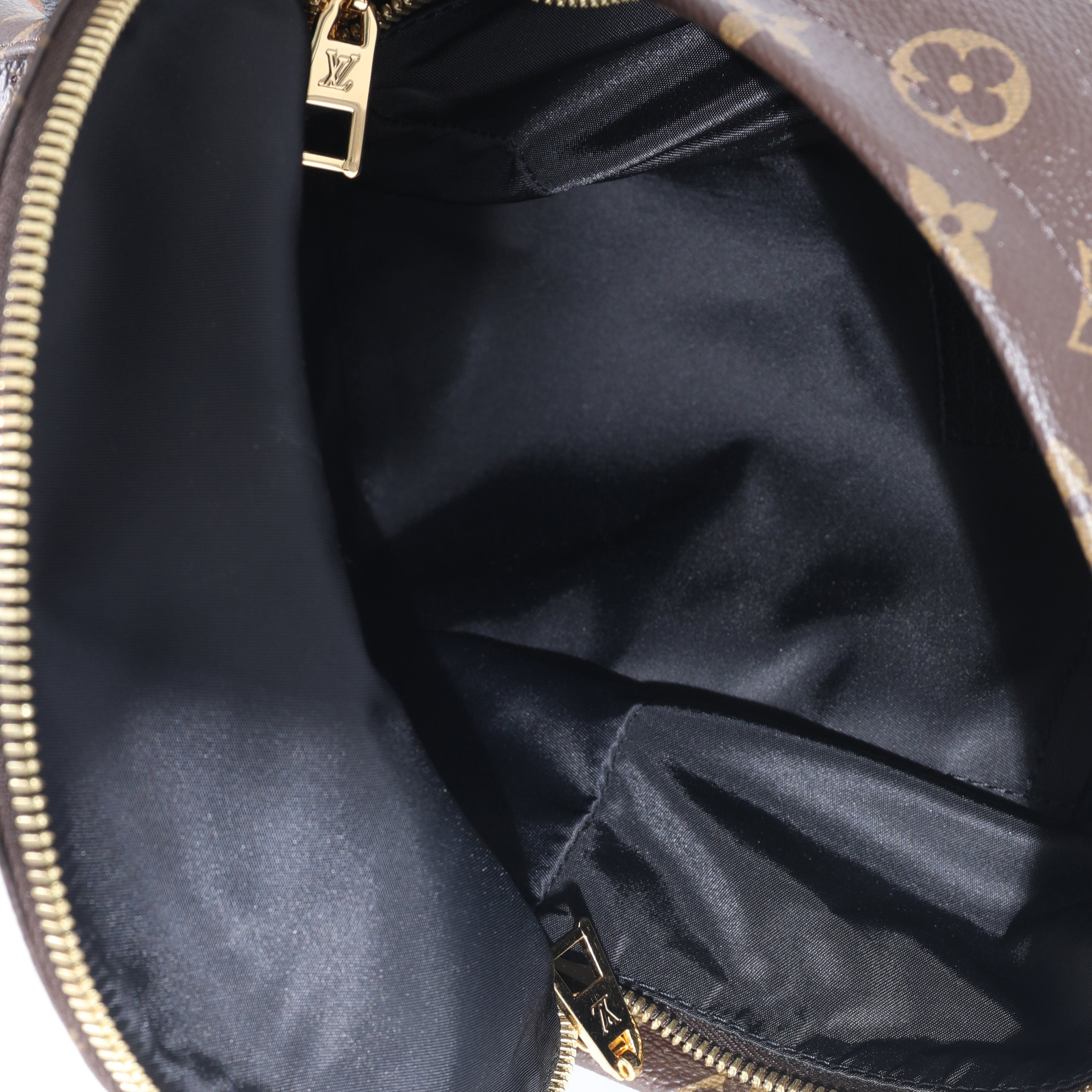 Louis Vuitton Monogram Canvas Palm Springs PM