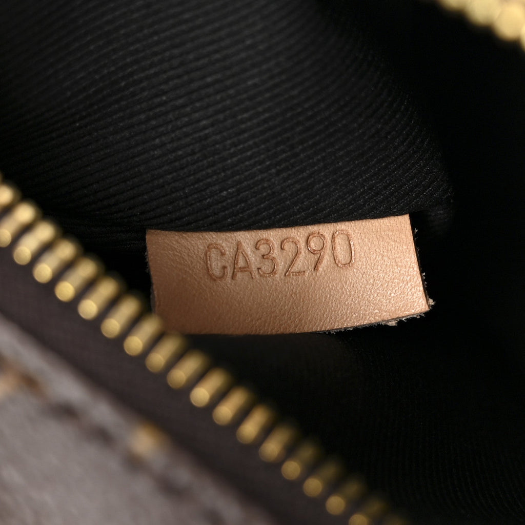 Louis Vuitton Monogram Bumbag