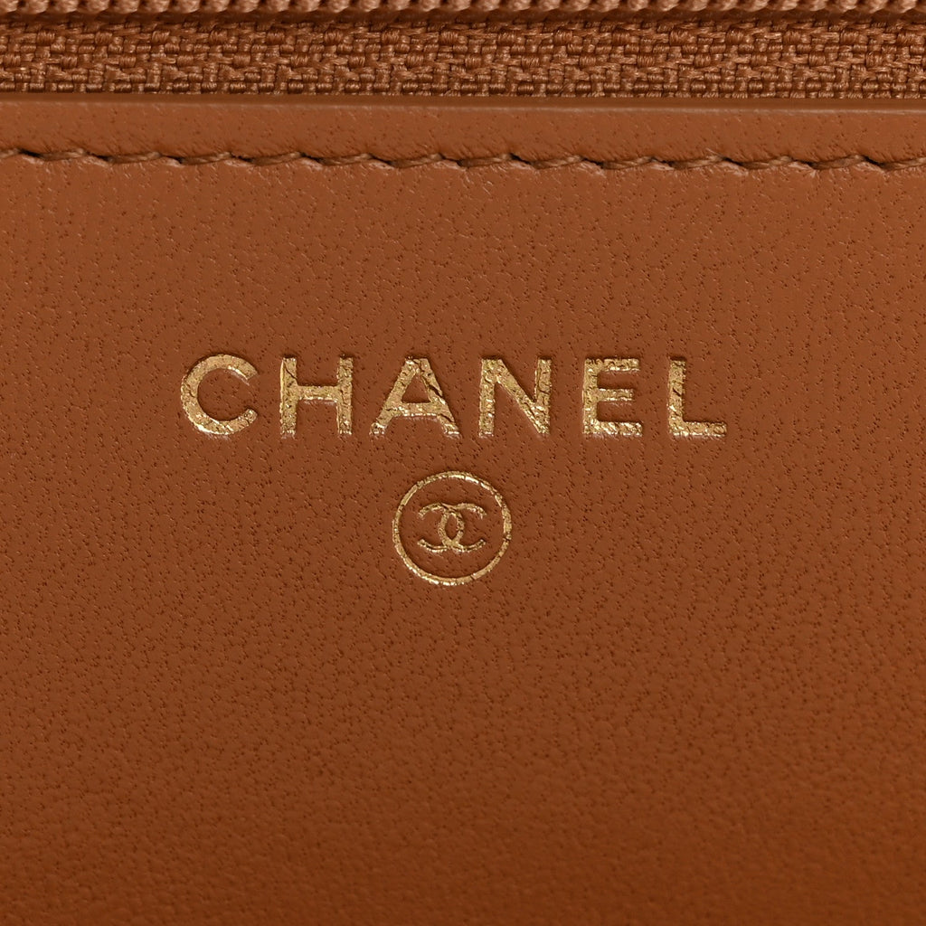 Chanel Lambskin Quilted Chanel 19 Wallet On Chain WOC Brown