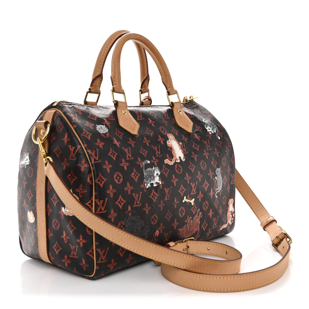 Louis Vuitton Catogram Speedy Bandouliere 30 Marron
