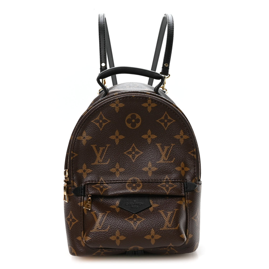 Louis Vuitton Monogram Palm Springs Backpack Mini