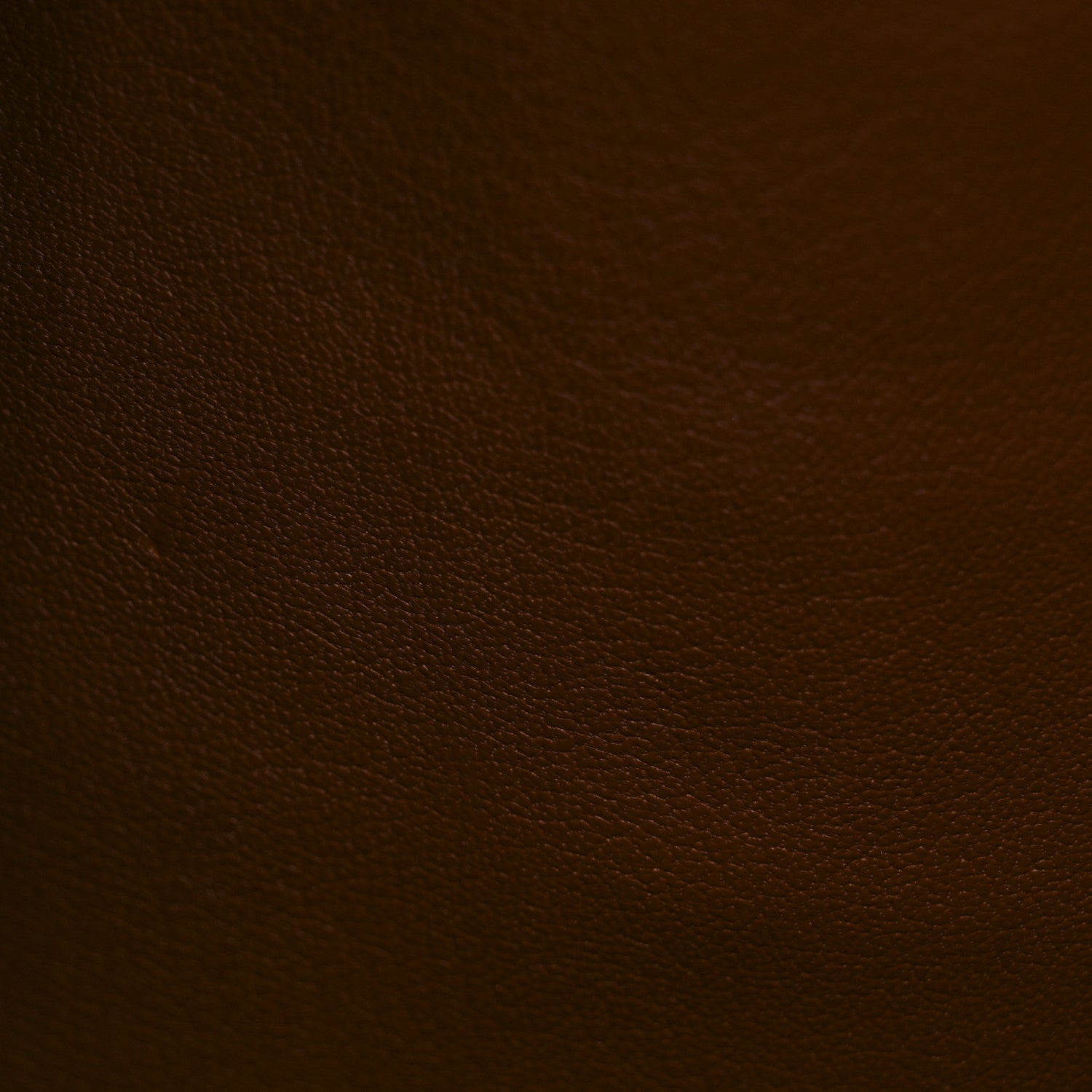 Louis Vuitton Alligator City Steamer MM Sienna Brown