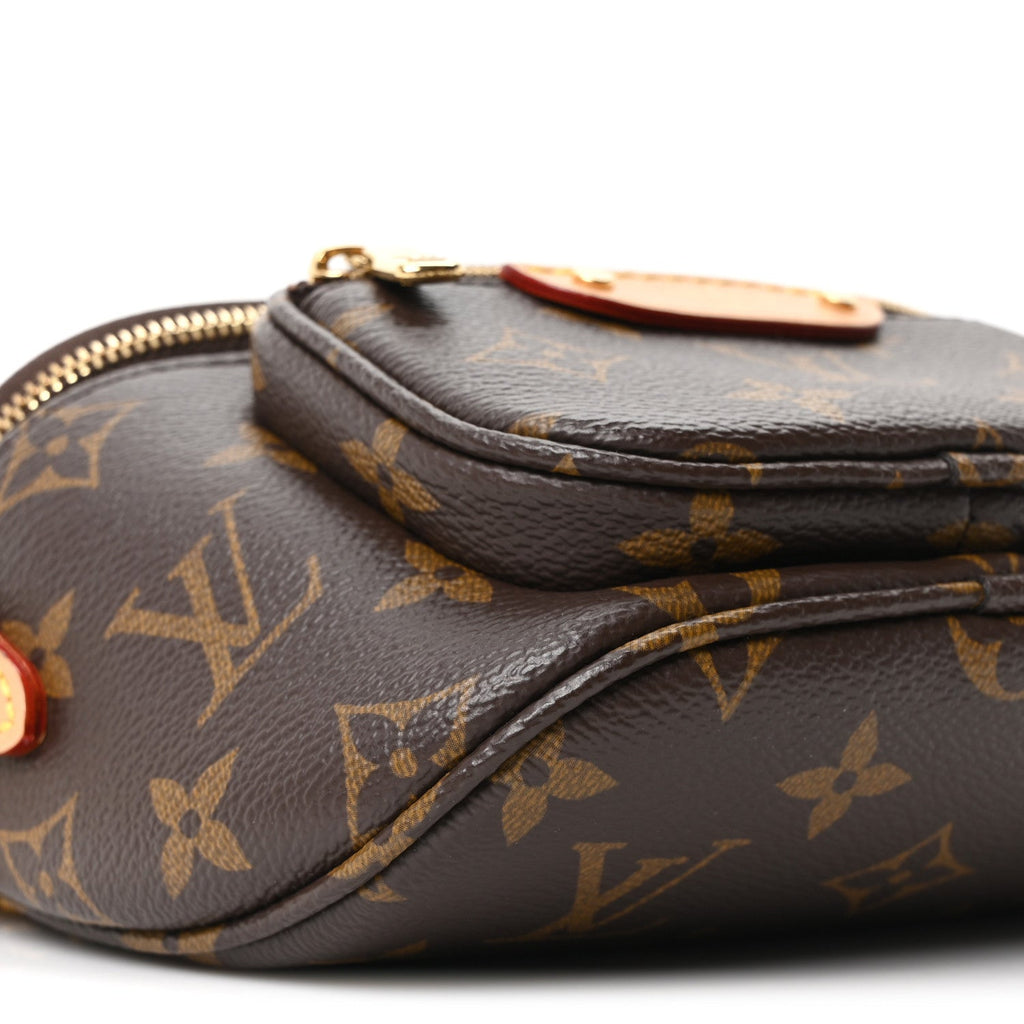 Louis Vuitton Monogram Mini Bumbag