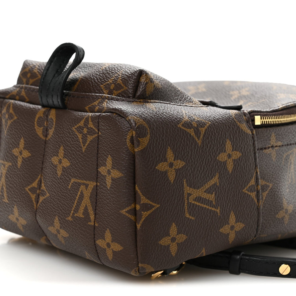 Louis Vuitton Monogram Palm Springs Backpack Mini