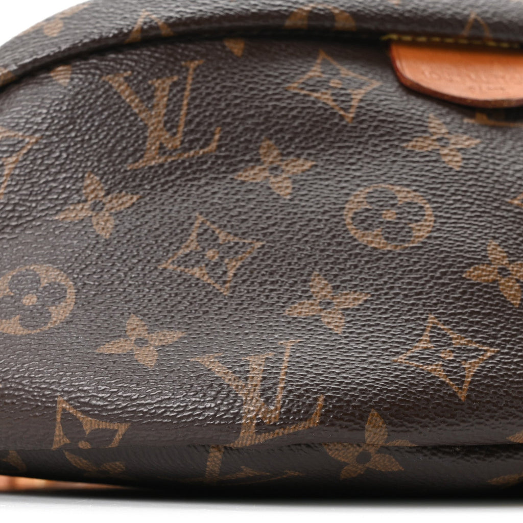 Louis Vuitton Monogram Bumbag
