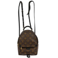 Louis Vuitton Palm Springs Mini Backpack M44873