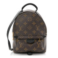 Louis Vuitton Monogram Palm Springs Backpack Mini